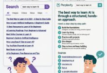 perplexity ai